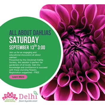 Join us on Saturday September 13th at 3 pm for an engaging and educational discussion about dahlias. This talk is free to attend, register today!